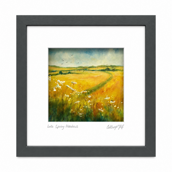 5 Late Spring Meadows
